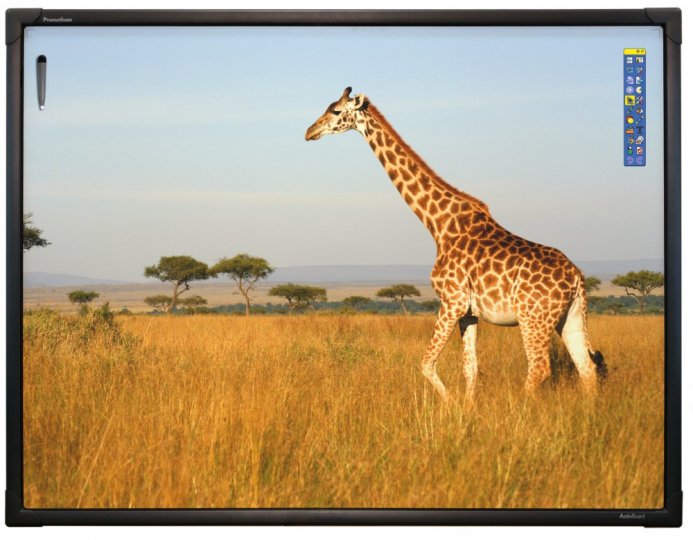 Интерактивная доска Promethean