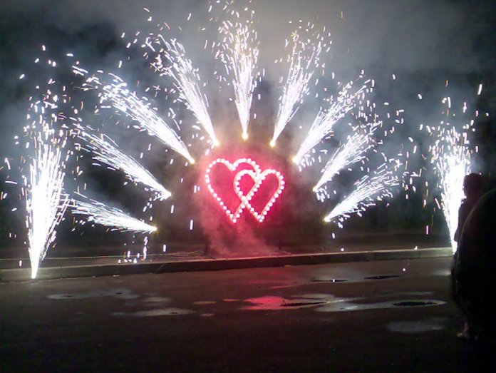 Организация профессионального